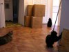 DSCN5943.JPG