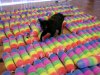 DSCN5953.JPG