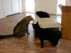 DSCN5959.JPG