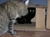 DSCN5964.JPG