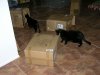 DSCN5972.JPG