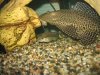 IMG_0161.JPG