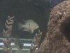 stevens fish photos 007.jpg