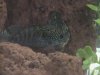 stevens fish photos 014.jpg