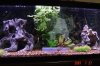 pleco 2008 061.jpg