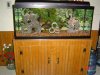 scottys 70 gal tank.jpg