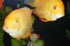 DSCF6503.JPG