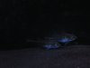 Picture or Video 140.jpg