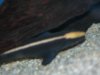 DSCN3879.JPG