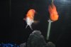 DSCF6773.JPG