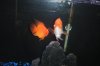 DSCF6772.JPG