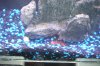 DSCF6771.JPG