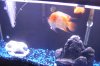 DSCF6764.JPG