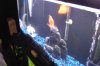 DSCF6763.JPG