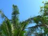 FLPB20060072006.JPG