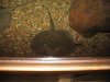 IMG_1668.JPG