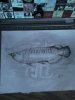Asian Drawing Full Body.jpg