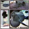 Marleymonster.jpg