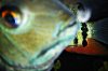 DSCF6879.JPG