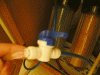 P1090936 (sweet).gif