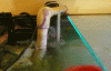 P1090941 (sweet).gif