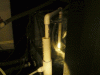 P1090943 (sweet).gif