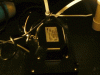 P1090944 (sweet).gif