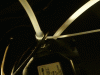 P1090946 (sweet).gif