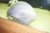 DSCF6964.JPG
