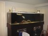 DSC04006.JPG