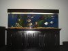 DSC03677.JPG
