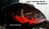 0126-redbelly-1-1.jpg