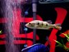 DSC03383.JPG