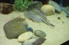 DSCF7084.JPG
