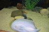 DSCF7087.JPG