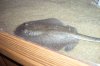 DSCF7088.JPG