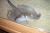 DSCF7089.JPG