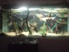 DSC01371.JPG