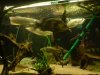 DSC01390.JPG