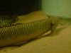 DSC01404.JPG