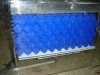 DSC02665.JPG
