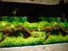 DSC02677.JPG