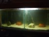 DSCF3101.jpg