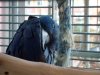 DSC00907.JPG