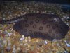ray move 013.JPG