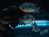 DSC03695.jpg