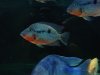 DSC03879.jpg
