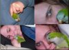 majcollage.JPG