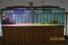 200 gal 014.JPG