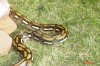 DSC04034.JPG